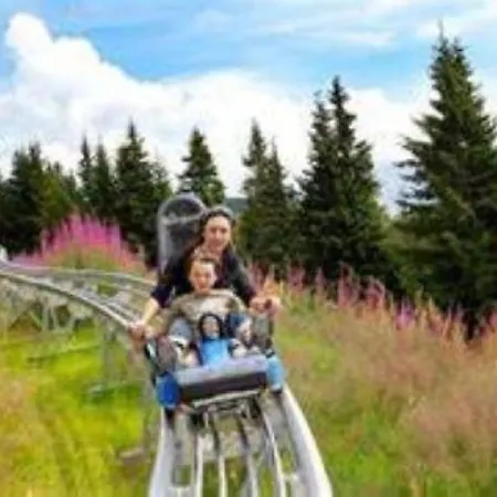 Апартаменты T2 Sur Isere